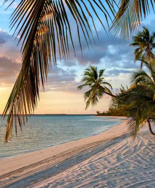 bahamas
